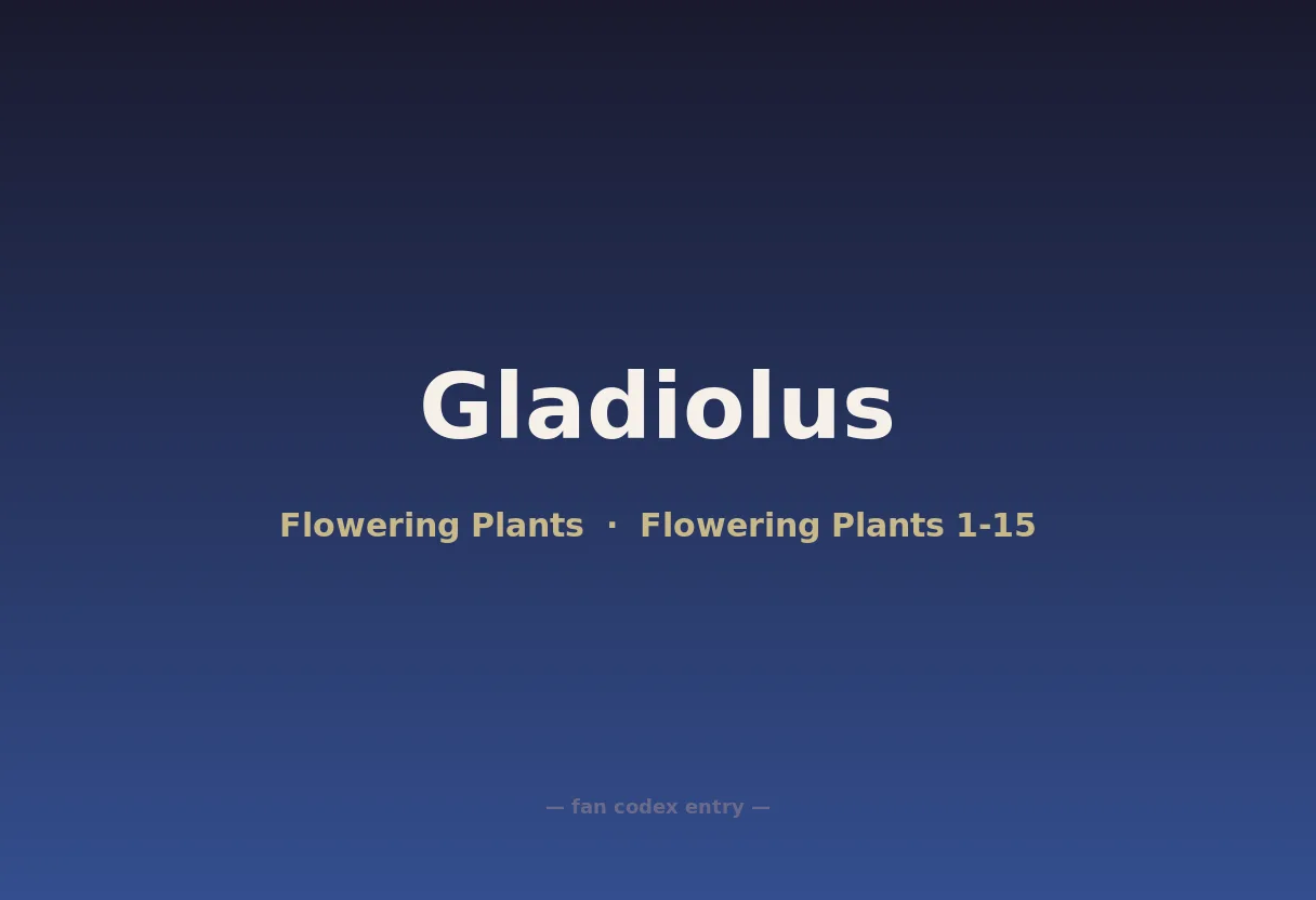 Gladiolus
