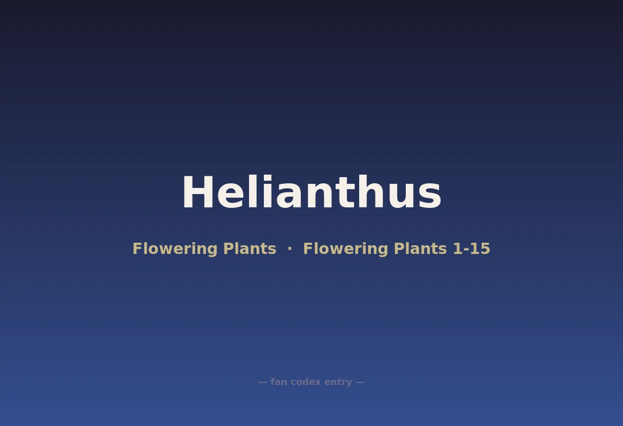 Helianthus