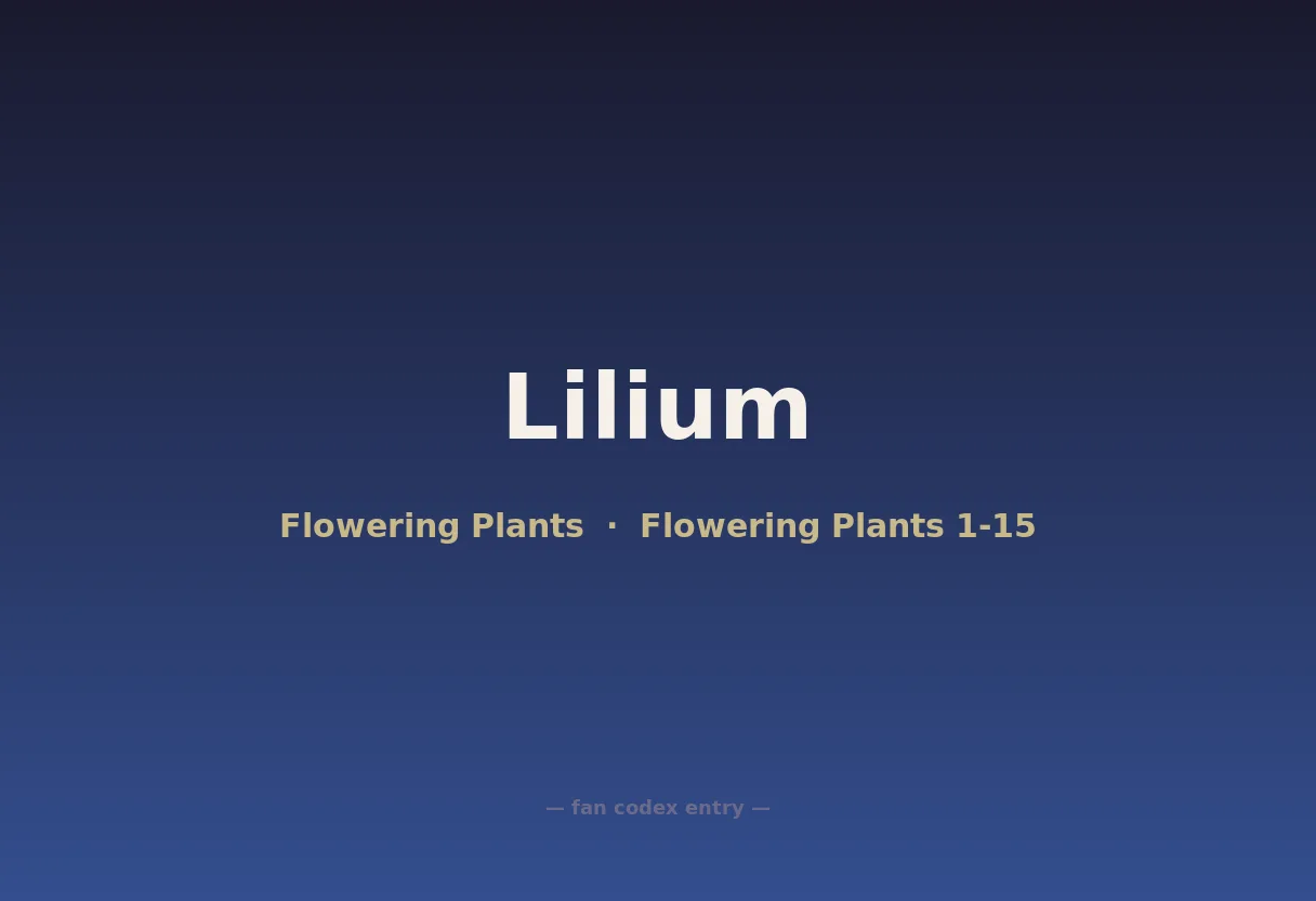Lilium