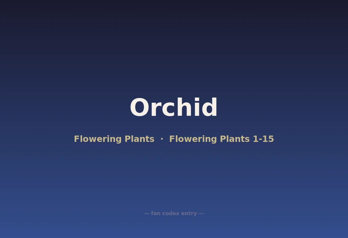 Orchid