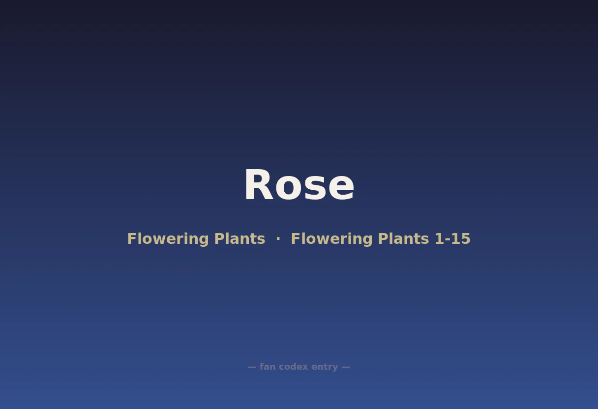 Rose