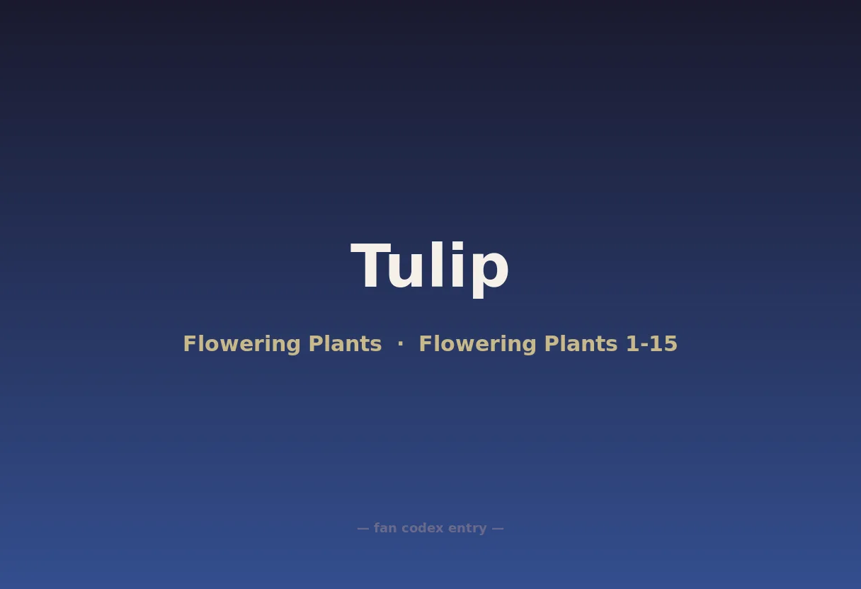 Tulip